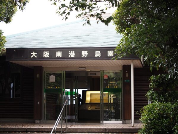 大阪南港野鳥園の展望台