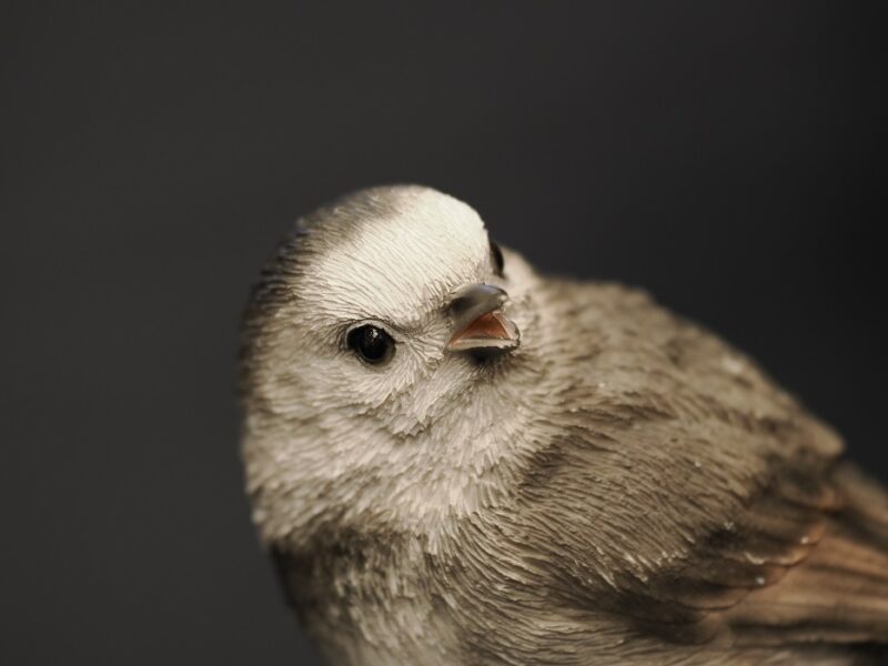 M.ZUIKO DIGITAL ED 50-200mm F2.8 IS PROの作例写真