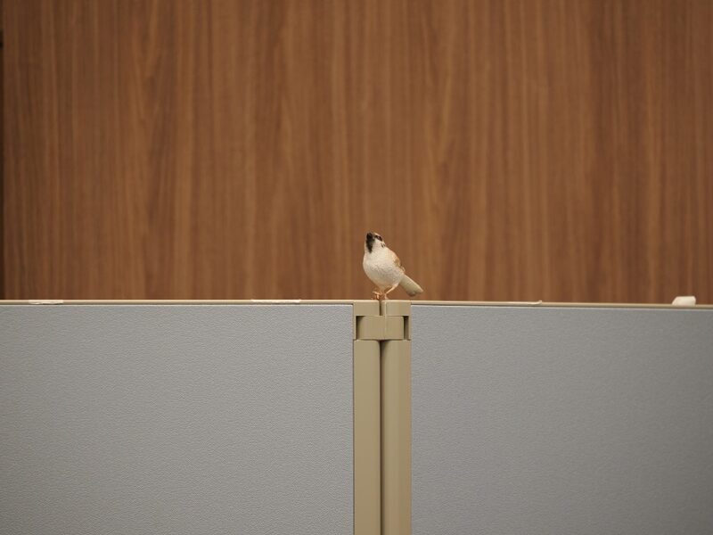 M.ZUIKO DIGITAL ED 50-200mm F2.8 IS PROの作例写真