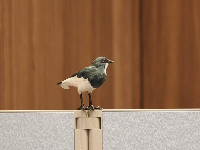 M.ZUIKO DIGITAL ED 50-200mm F2.8 IS PROの作例写真