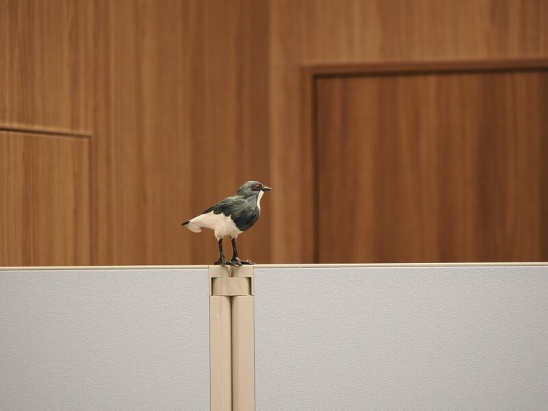 M.ZUIKO DIGITAL ED 50-200mm F2.8 IS PROの作例写真