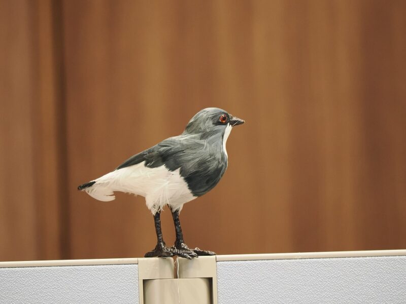 M.ZUIKO DIGITAL　ED 150-400mm F4.5 TC1.25x IS PROの作例写真