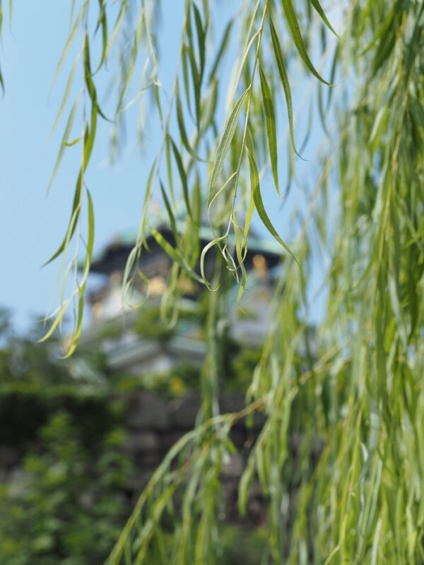 大阪城
